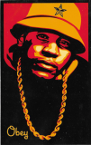 LL Cool J - 2.38" x 3.75"