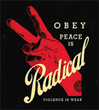 Peace is Radical (Black) - 3.5\" x 3.88\"